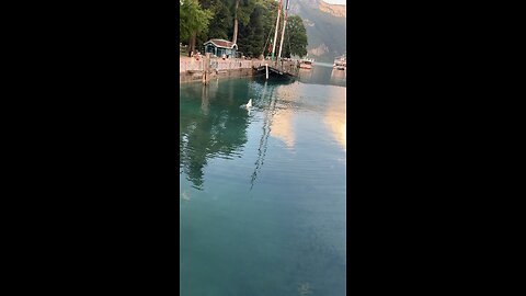 Annecy