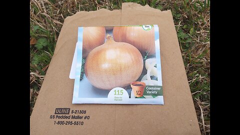 Planting DP Sweet Short Day Onion Seeds 2/11/25