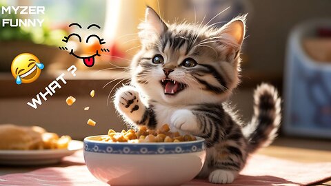 Funny Cats & Dogs Doing the Most Ridiculous Things! 🐾😂