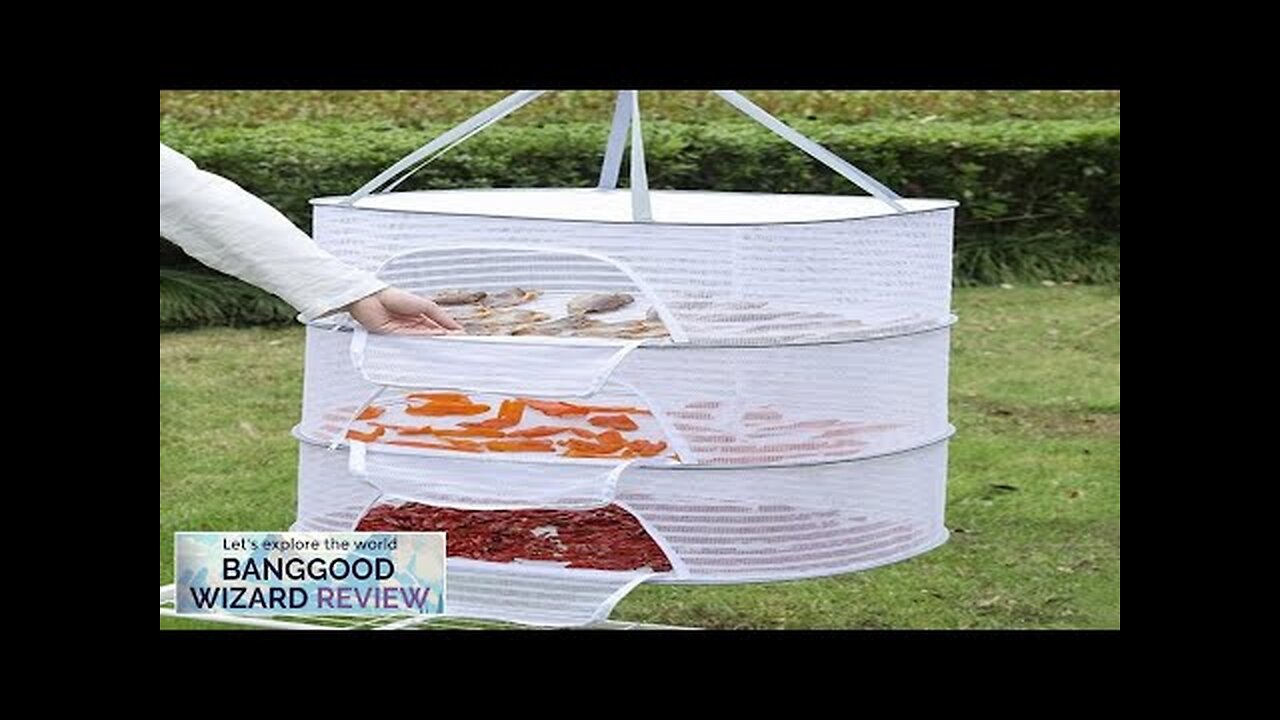 Folding Hanging Drying Rack Mesh Dryer with Zippers For Shrimp Fish Fruit Review