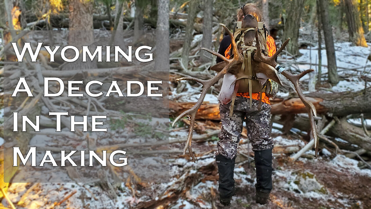 Wyoming. A Decade In The Making.