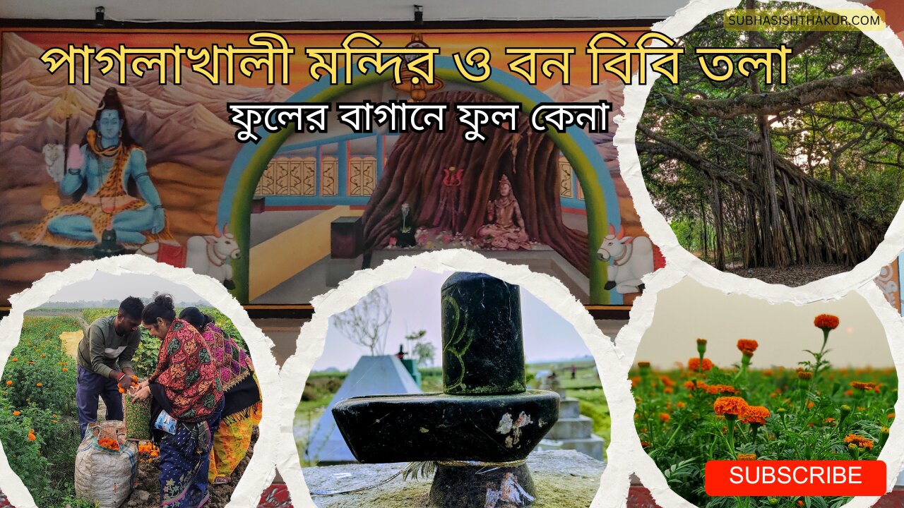 নদীয়ার জাগ্রত শিবমন্দির পাগলাখালি ধাম ও বনবিবিতলা - Paglakhali Shiv Mandir & Bon Bibi Tola Vlog