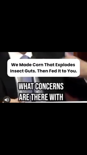 OY VEY SHUT UP AND EAT YOUR GOY SLOP PEASANT ☠️