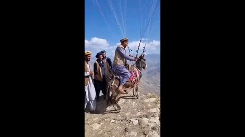 Flying with my Donkey in Afghanistan