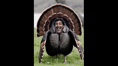 THE SATURDAY SOUNDCHECK