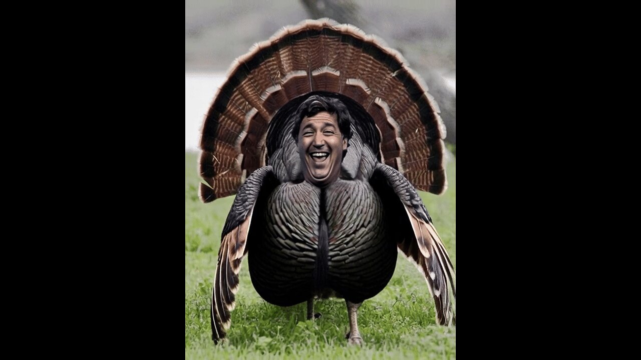 THE SATURDAY SOUNDCHECK