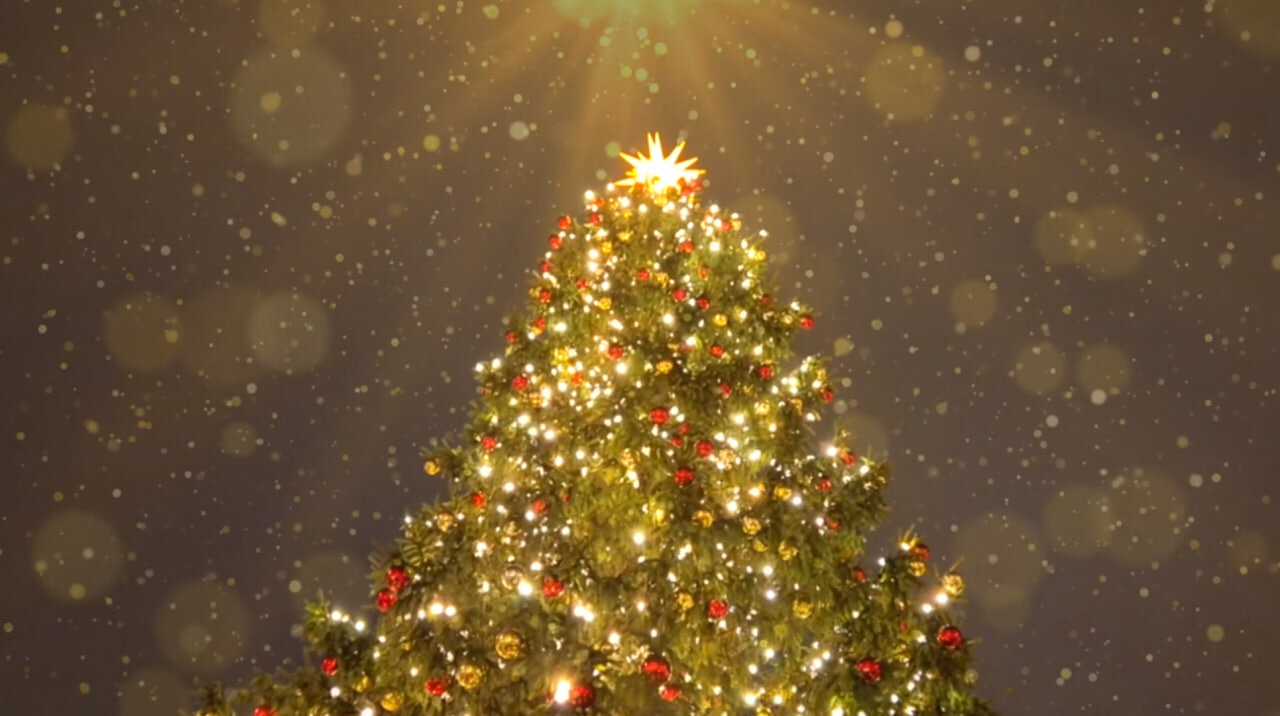 Lichtweiser-Weihnachtsgruß 2025