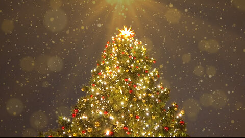 Lichtweiser-Weihnachtsgruß 2025