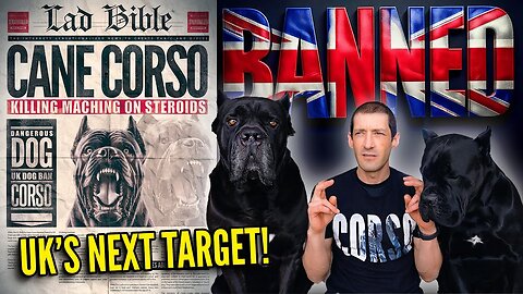 Cane Corso UK's Next DOG BAN!