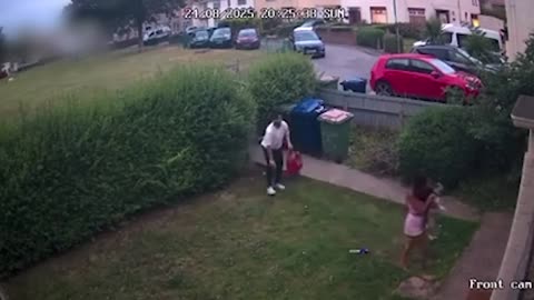 Try Not to Laugh Challenge | Best Fails of 2025 😂 Funny Moments| Ultimate Fails