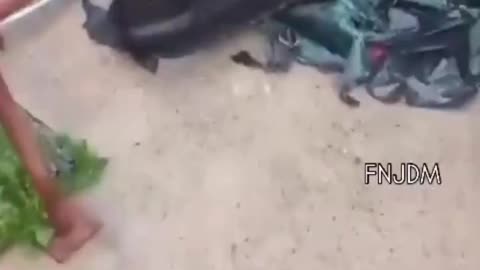 Moment a car plunges down a staircase after driver loses control in São Paulo, Brazil