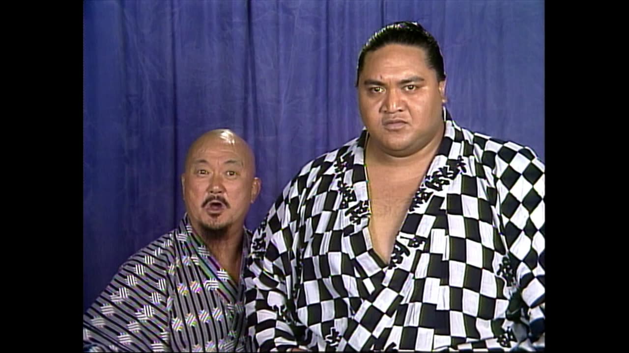 WWF Superstars May 22, 1993