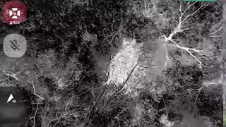 ⚡️Drones of the border guards of the "Forpost" brigade effectively destroy the enemy