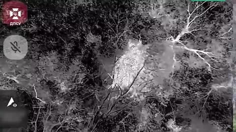 ⚡️Drones of the border guards of the "Forpost" brigade effectively destroy the enemy