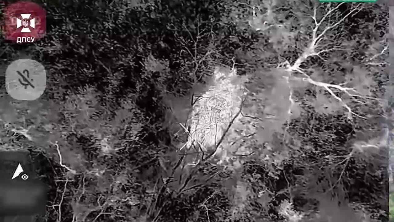 ⚡️Drones of the border guards of the "Forpost" brigade effectively destroy the enemy