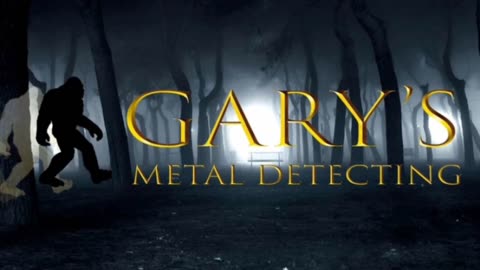 Metal Detecting Dillions Beach California !