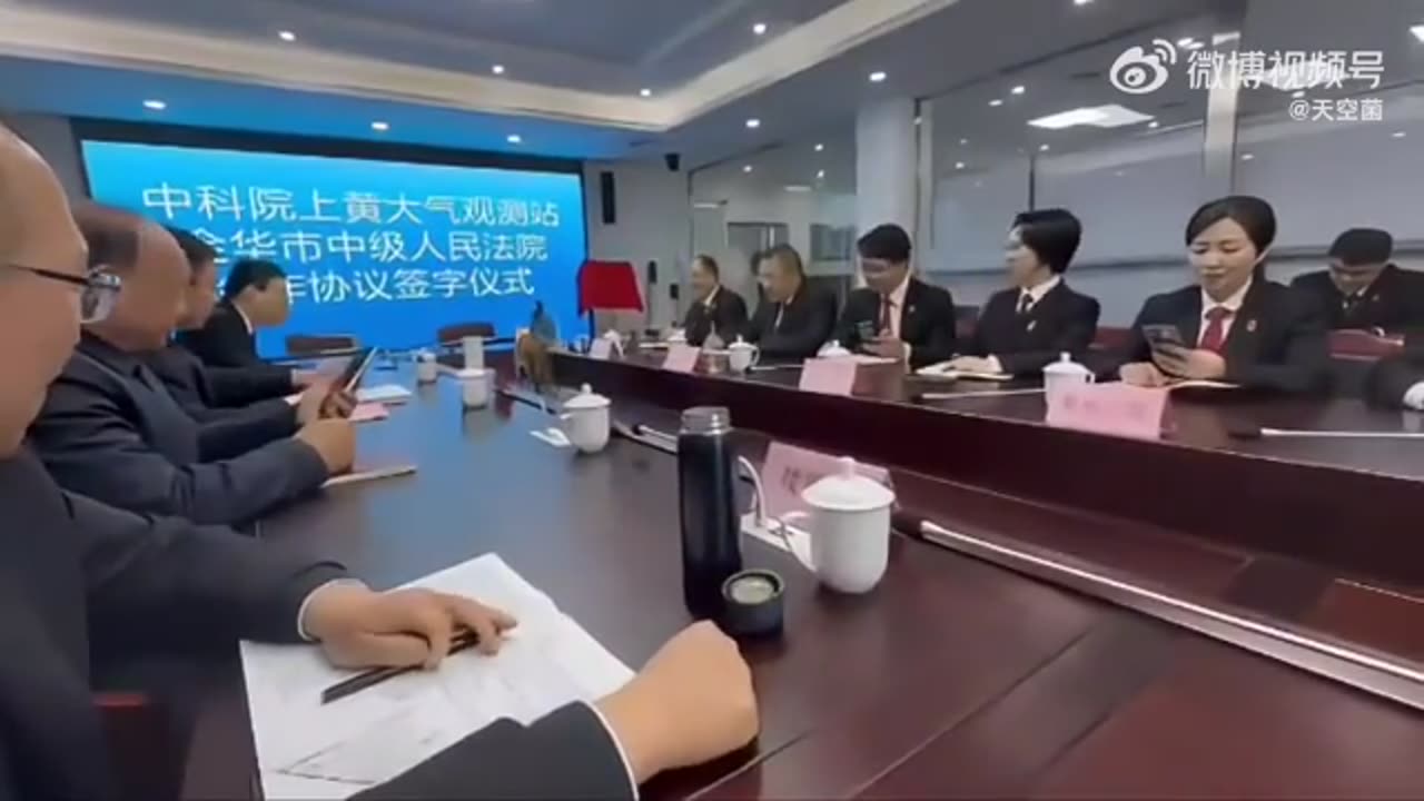 在某法院会议的间隙,一只猫咪跳上会议桌开展了“一轮巡视”