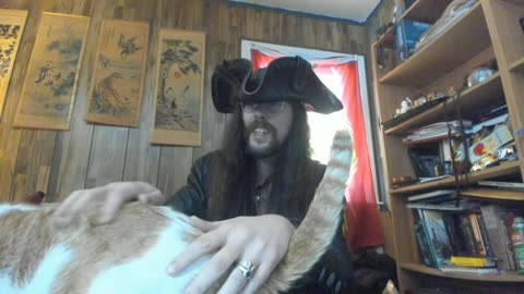 Kitty Eats Squiddy Snacks