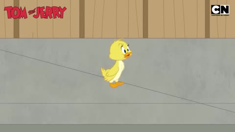 Funny Tom and Jerry- The Great Quacker Hunt!