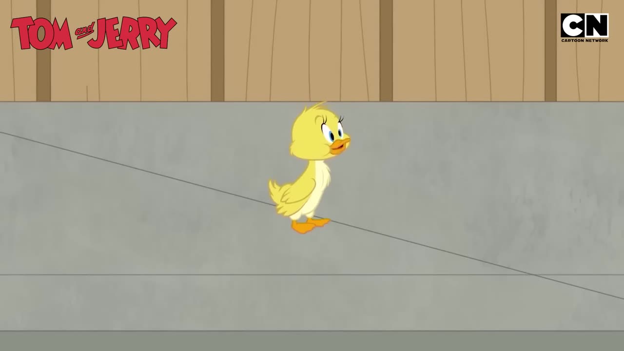 Funny Tom and Jerry- The Great Quacker Hunt!