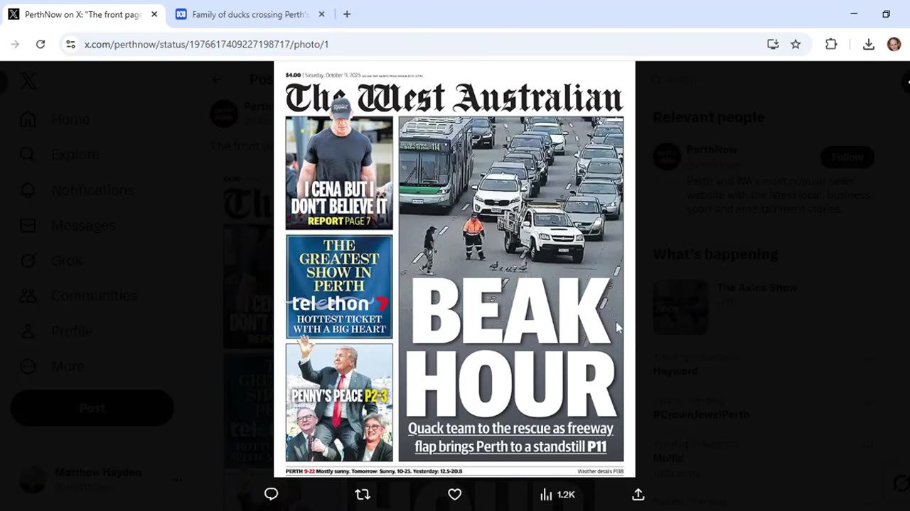 Was ducks on Perth freeway story engineered to create comms about dangerous Donald Trump?
