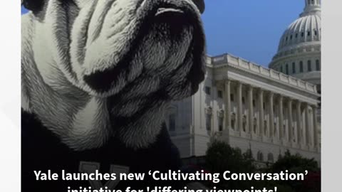 Yale launches new ‘Cultivating Conversation’ initiative amid federal lobbying
