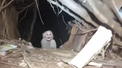 🤡⚠️ They Thought They Were Alone... Disturbing The Clowns | TheHauntingHour