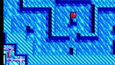 SMS Longplay - Maze Hunter 3-D - US