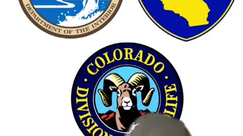 Wildlife Management