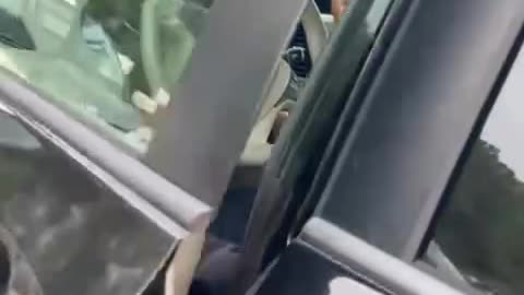 Lakewood Moaners Strike Again: Kids Troll Hasidic Mob in Viral Culture Clash!
