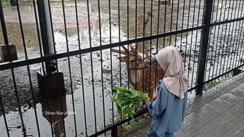 Visit the state house deer park