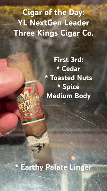 YL NextGen Leader (Three Kings Cigar Co.) Robusto #CigarReview #CigarOfTheDay #Short #Shorts
