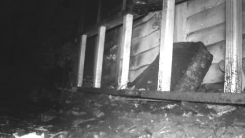 😱👻 You Won't Believe This Terrifying Unusual Disturbance! | TheHauntingHour