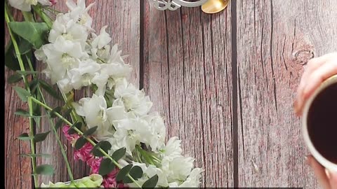 Daily Horoscope | Taurus 🌟