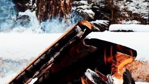 Daily Horoscope | Aries 🌟