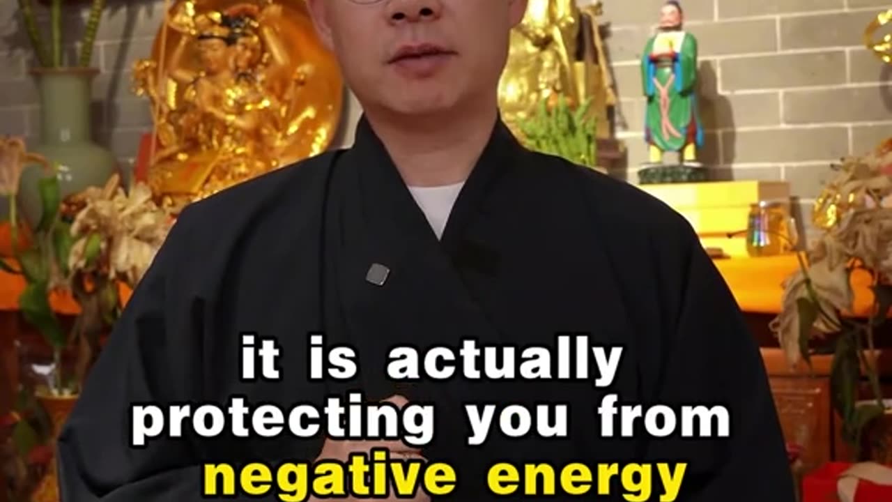 Keeping a cat transforms your homes feng shui