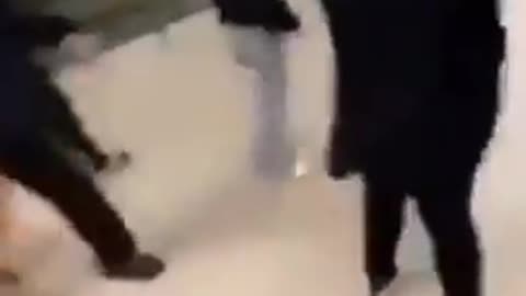 A woman in Finland was attacked for no reason by a mob of Muslim Sheboons