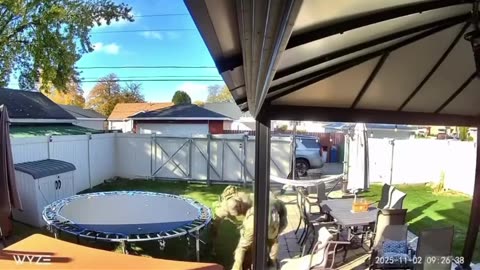 An illegal alien runs into someone's backyard in a suburb of Chicago, but DHS agents find him