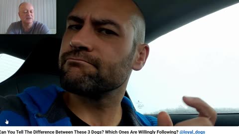 Christmas Bonus Series - The Anti Dog Trainer Off Leash Breakdown - Pt 4