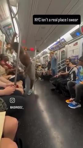 New York City Subway Passengers Treated to Dancing Monkey Show on Train