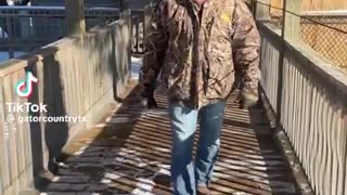 Alligators reacting to sub freezing weather