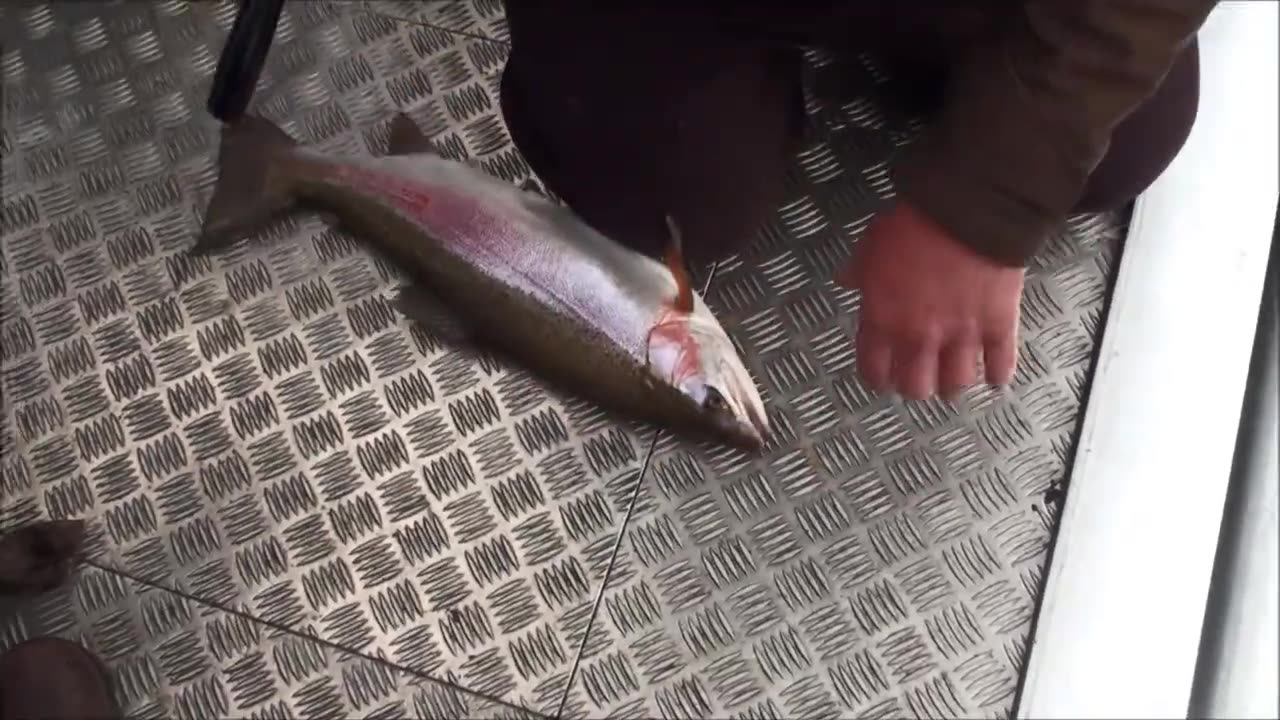 Trout fishing opening day