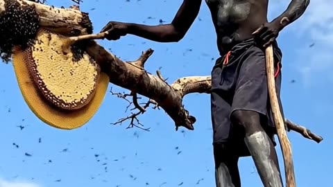 Stick Walking man Honey