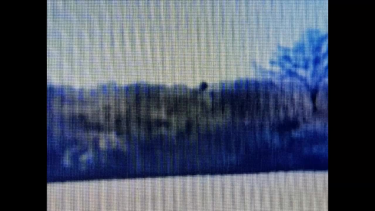 Giant spotted in West Virginia.