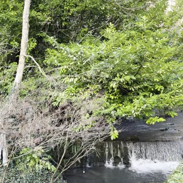 This place is just amazing do you know where i am today