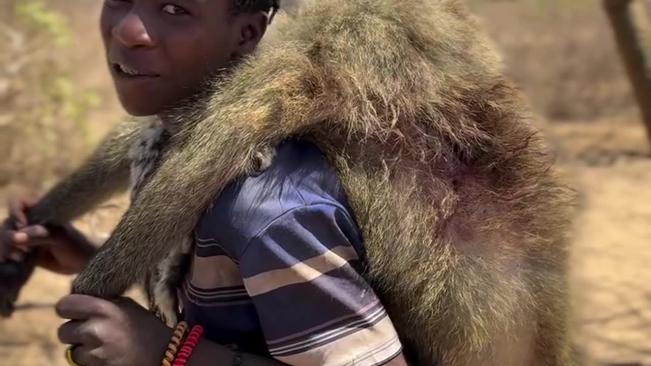Hadzabe Tribe success Hunting a Baboon