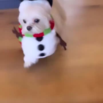 The cutest snowmen out there 😊😍