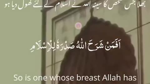 Beshak 💯♥️✨