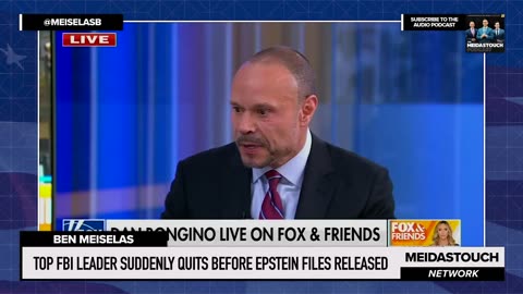 TOP FBI Leader SUDDENLY QUITS before EPSTEIN FILES RELEASED