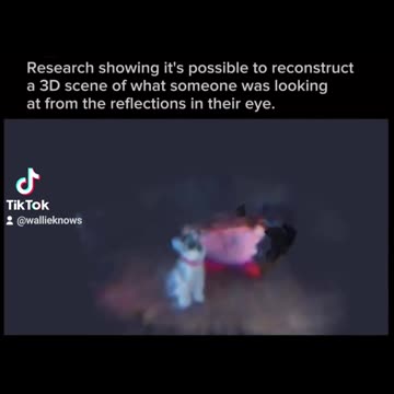 Reconstruct of image of the eye in 3d